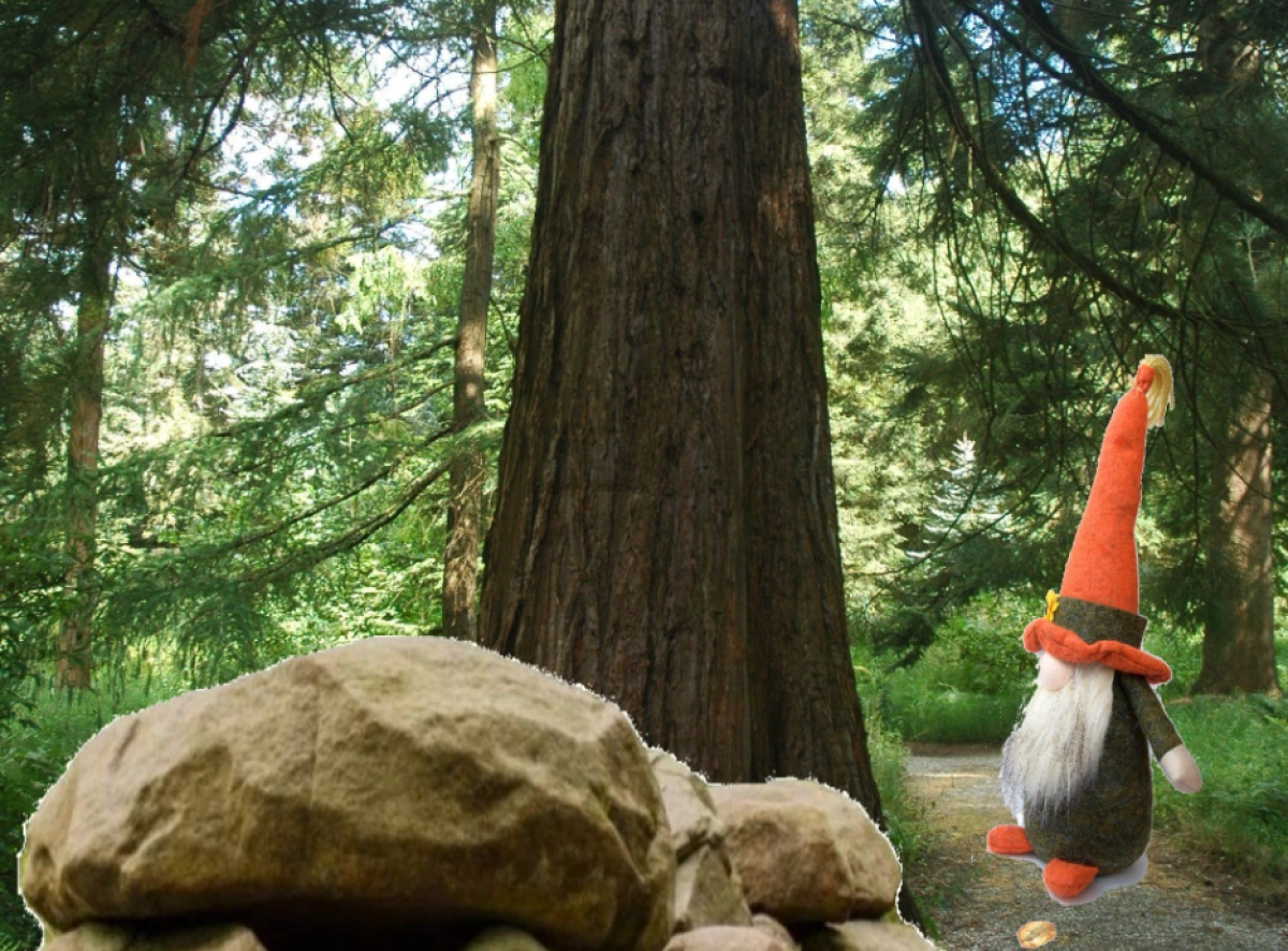 Speurtocht: Kampioenen en Slimmeriken